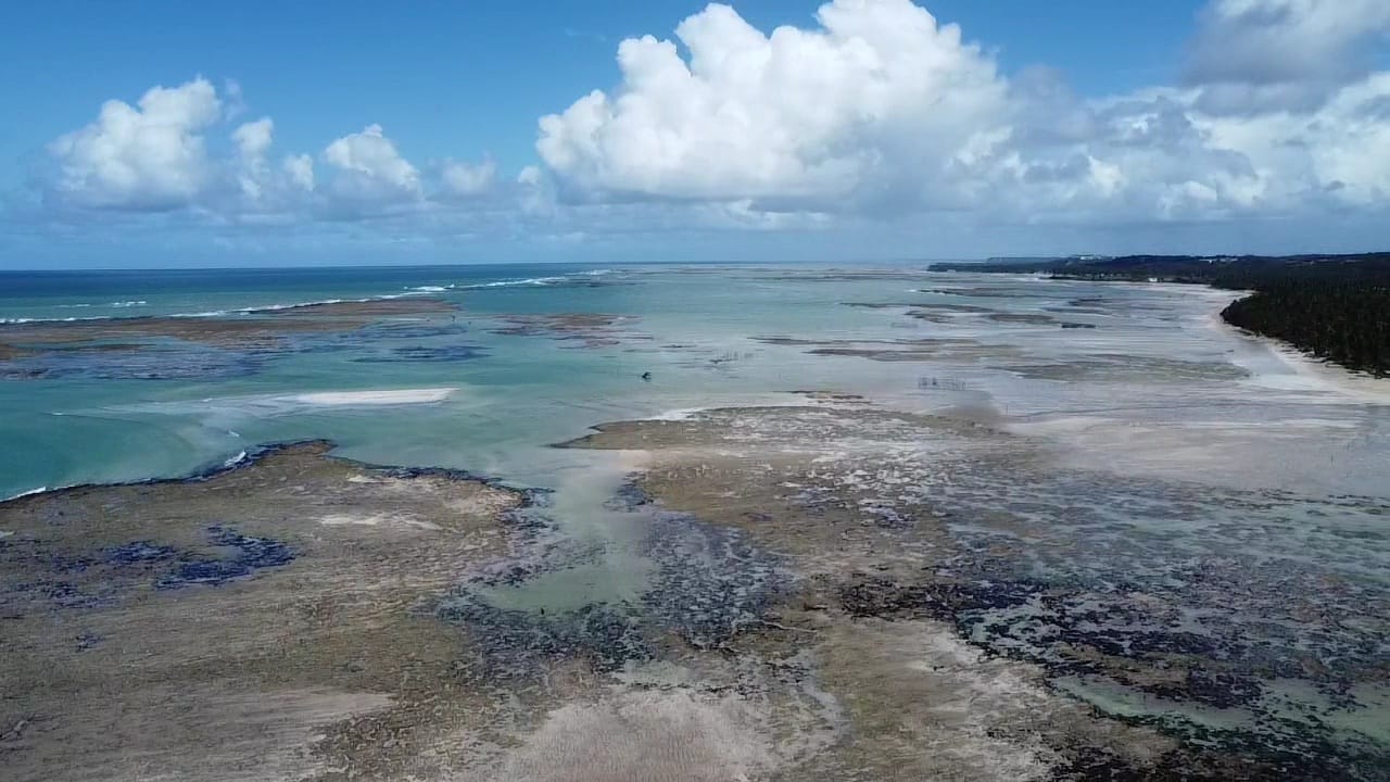 WhatsApp Image 2023-01-25 at 4.21.39 PM (5).jpeg