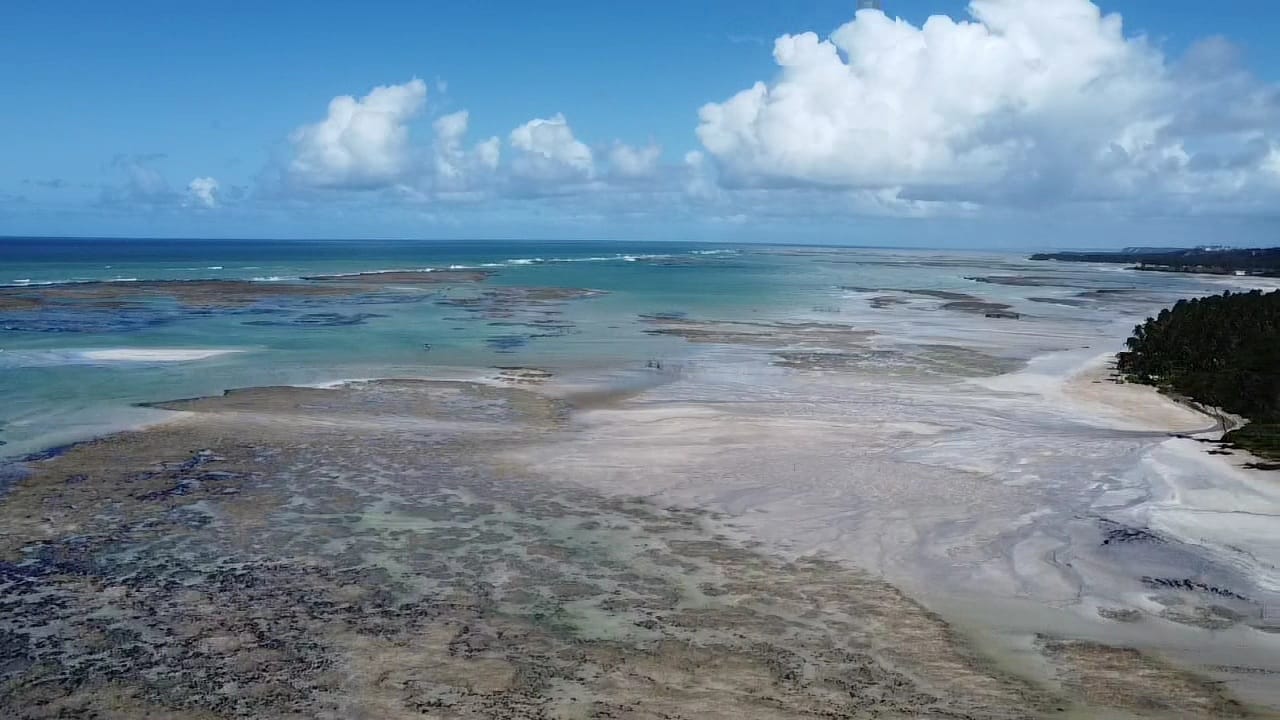 WhatsApp Image 2023-01-25 at 4.21.40 PM.jpeg