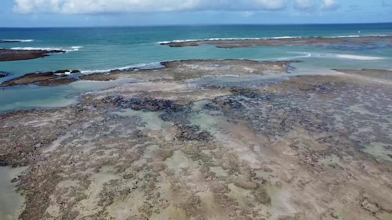 WhatsApp Image 2023-01-25 at 4.21.39 PM (3).jpeg