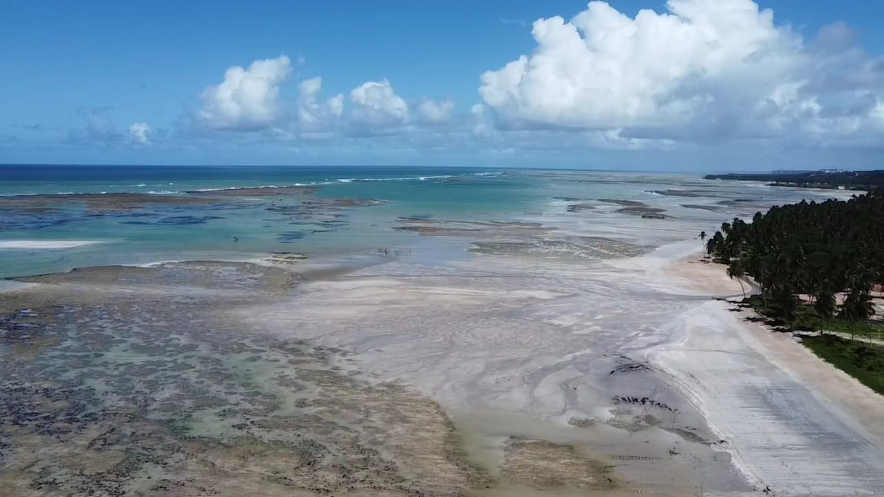 WhatsApp Image 2023-01-25 at 4.21.40 PM (1).jpeg